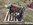 IMG_1177.jpeg