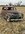 IMG_3614.jpeg