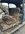 IMG_3703.jpeg