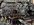 IMG_3705.jpeg