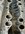 IMG_3742.jpeg