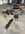 IMG_3754.jpeg