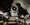 IMG_4861.jpeg