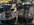 IMG_4833.jpeg