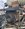 IMG_1236.jpeg