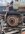 IMG_1239.jpeg