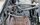 IMG_6041.jpeg