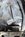 IMG_6686.jpeg