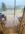 IMG_1164.jpeg