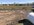 IMG_8041.jpeg