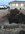 IMG_9395.jpeg