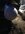 63677095036__D42A4CF7-F6FA-4CCD-A390-79F9E7A8B06D.jpeg