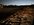 IMG_3318.jpeg