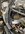 IMG_0922.jpeg
