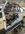 IMG_0925.jpeg