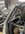 IMG_0919.jpeg