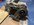 IMG_8881.jpeg