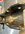 IMG_2913.jpeg IMG_2913.jpeg