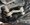 IMG_3819.jpeg