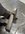 99BB7635-83B9-4D7F-90BE-3E16E2ED8C23.jpeg