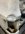 IMG_0931.jpeg
