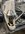 IMG_0936.jpeg
