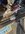 IMG_0929.jpeg
