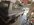 IMG_2432.jpeg