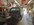 IMG_2430.jpeg