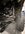 IMG_1913.jpeg