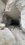 IMG_5007.jpeg