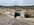 IMG_5006.jpeg