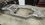 IMG_0838.jpeg