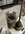 IMG_3578.jpeg