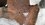 IMG_0847.jpeg