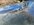 IMG_5074.jpeg