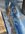 IMG_5071.jpeg
