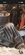 IMG_5590.jpeg IMG_5590.jpeg