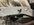 IMG_4690.jpeg