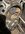 IMG_7140.jpeg