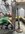 IMG_7142.jpeg
