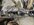 IMG_4727.jpeg