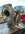 IMG_2120.jpeg