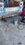 IMG_9071.jpeg