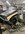 IMG_0962.jpeg