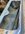 IMG_2721.jpeg