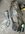 IMG_2774-compressed.jpeg
