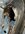 IMG_2773-compressed.jpeg