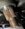 IMG_5732.jpeg