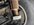 IMG_5736.jpeg